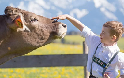 Unterkunft auf dem Bauernhof